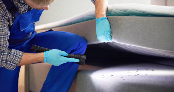 Best Exterminator Services  in Turner, OR
