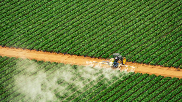 Best Mosquito Control Services  in Turner, OR